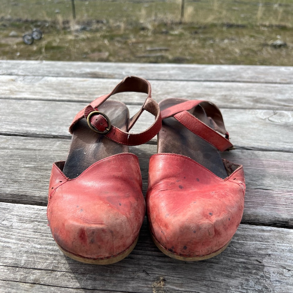 Dansko womens clogs